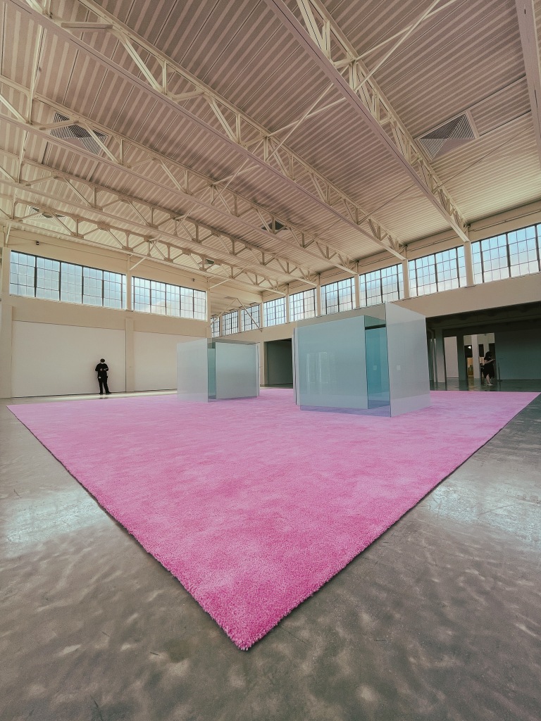 Taken again at the Dia:Beacon museum. A pink shag rug fills the room but at this angle, the rug looks like a triangle as opposed to a square. On top of the rug are two frosted glass structures in the shape of squares. The glass is cut away so that people can enter the structure through a doorway.