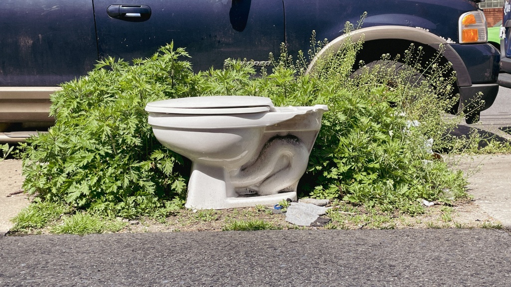A toilet out of the context of a bathroom and on the street, encased by lush green plants.
